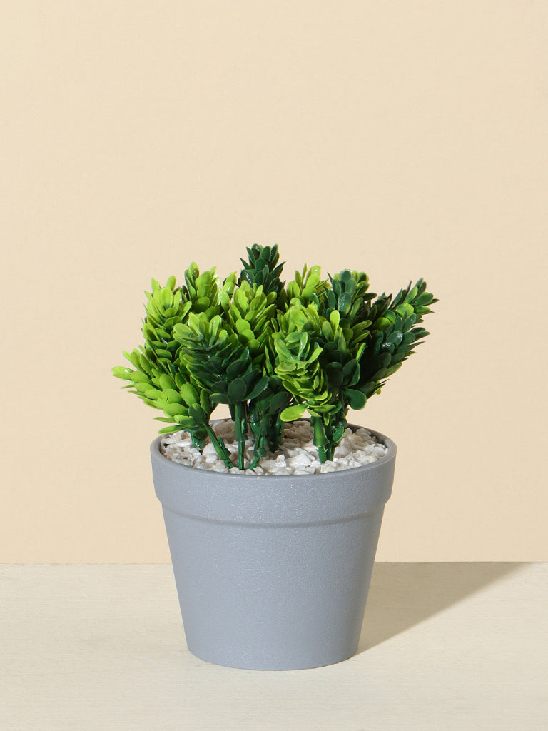 Westside Home Green Pinecone Plant - Image 2