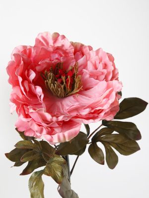 Westside Home Soft Pink Peony Flower