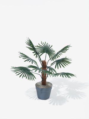 Westside Home Green Artificial Small Palm Fronds Plant