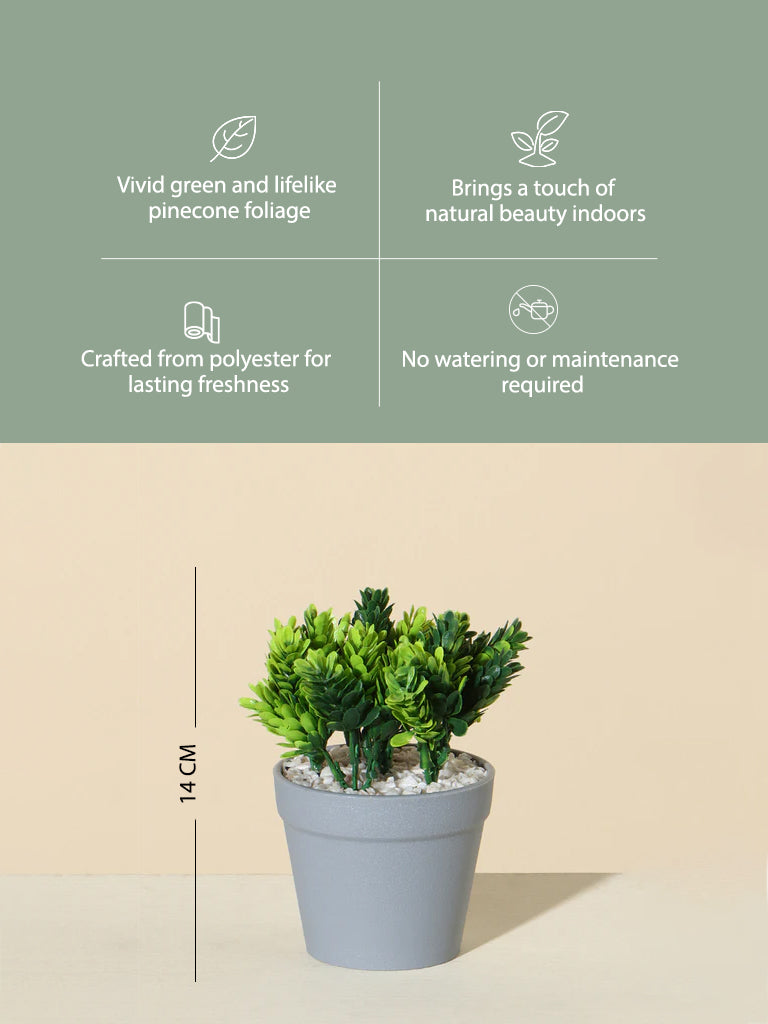 Westside Home Green Pinecone Plant - Image 4