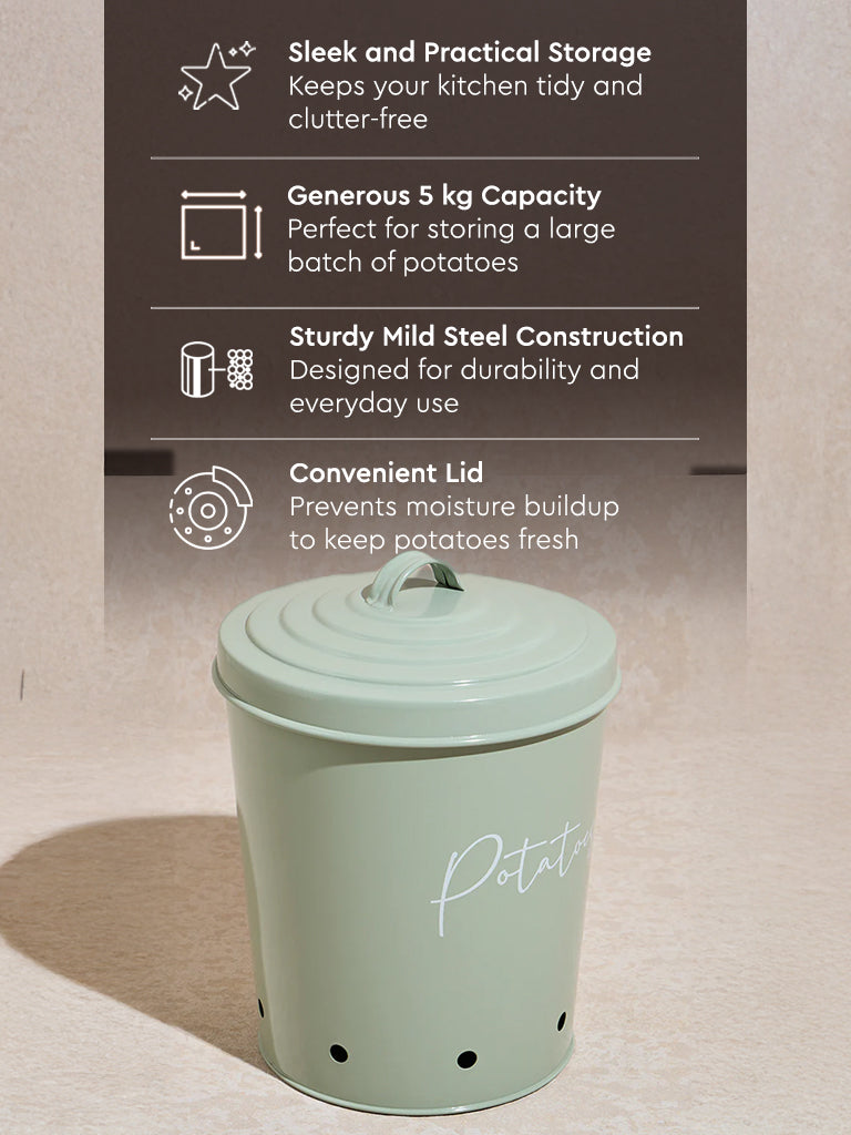 Westside Home Mint Potato Container - Image 4
