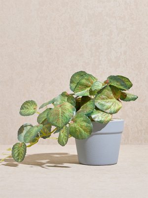 Westside Home Green Anubias Artificial Plant