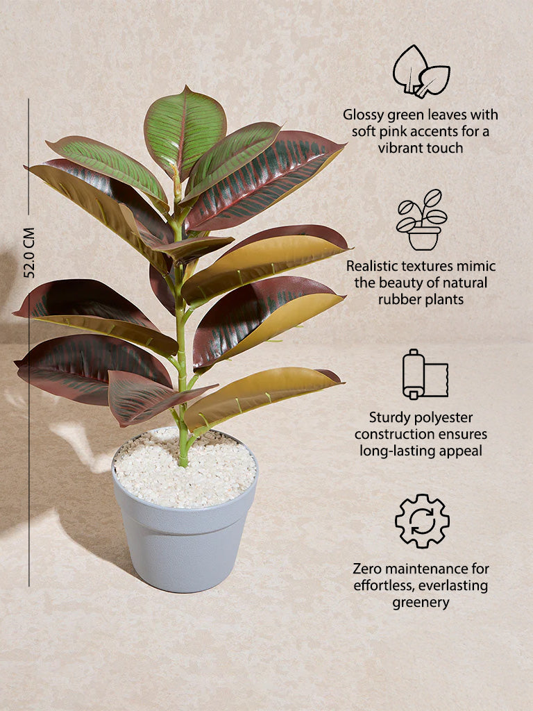 Westside Home Green and Pink Artificial Rubber Plant - Image 4