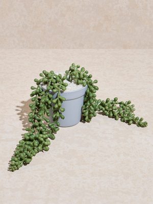Westside Home Green Trailing Beads Artificial Plant