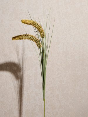 Westside Home Mustard Artificial Corn Grass Plant