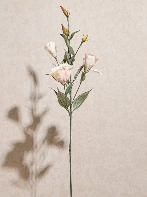 Westside Home Off-White Single Artificial Balloon Flower