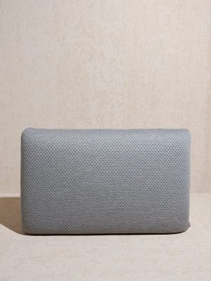Westside Home Grey Latex Pillow