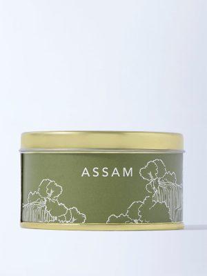 Westside Home Sage Cabana Forest Scented Tin Candle